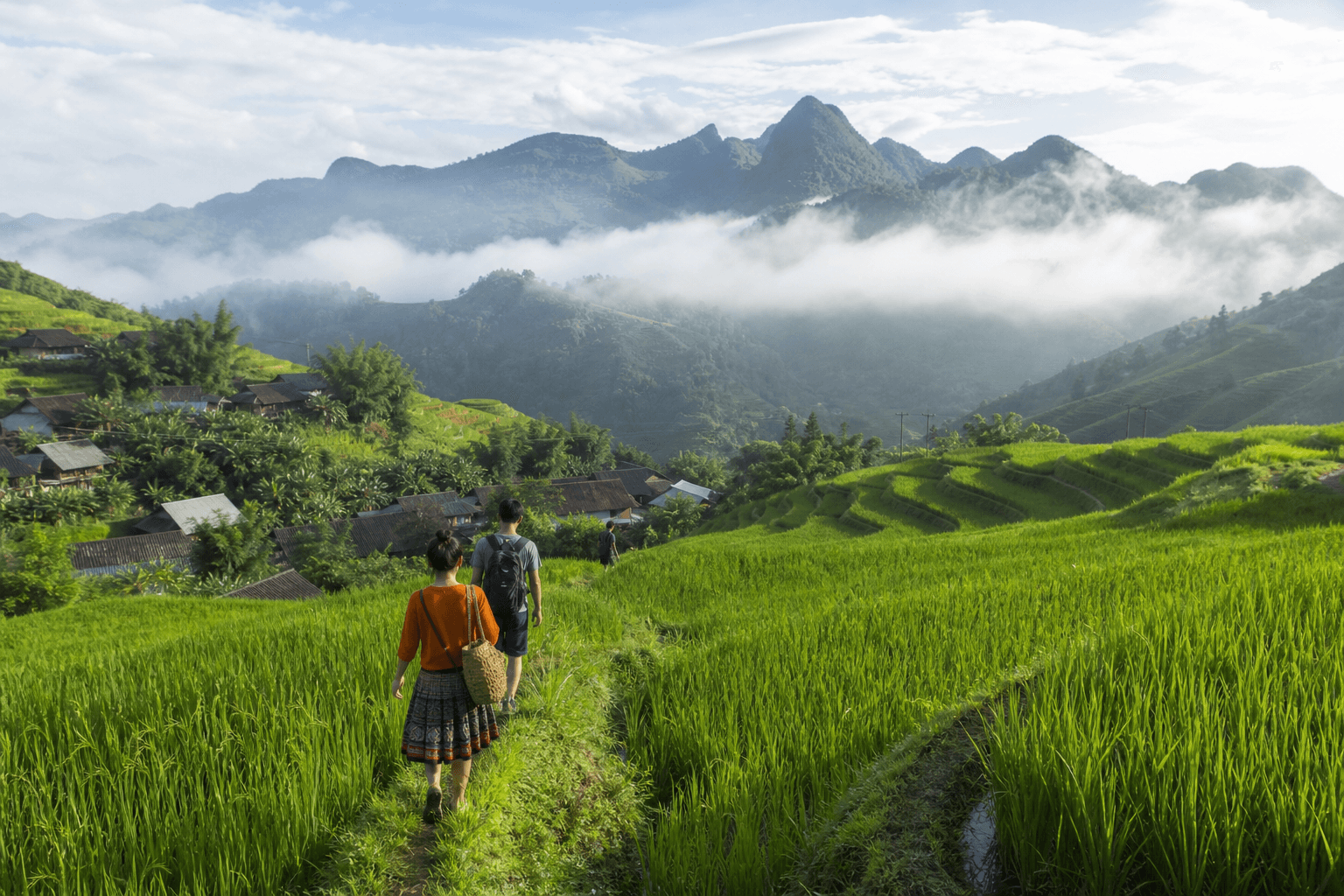 Travelers walking through bright green rice terraces